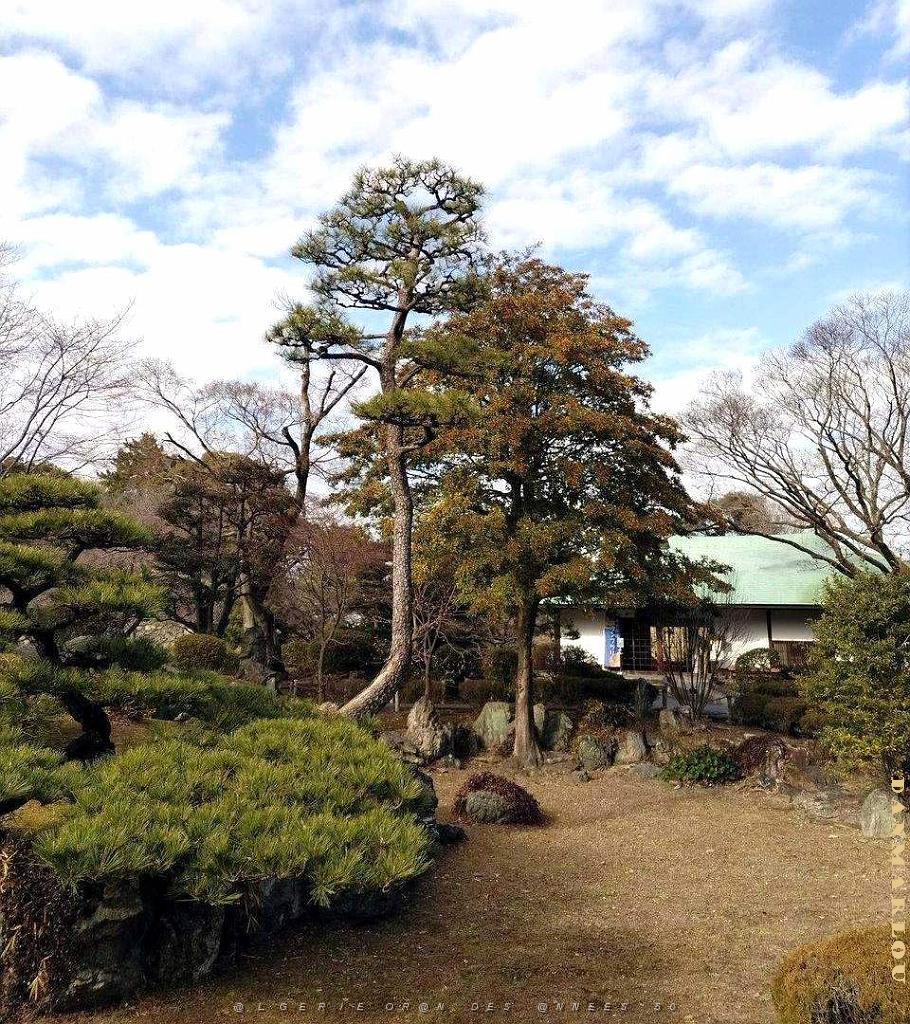 NAGOYA - Le Chateau- 09.01.2024 - 08.jpg